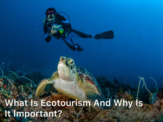 What is Ecotourism and Why is it Important? - Enviro Care Central
