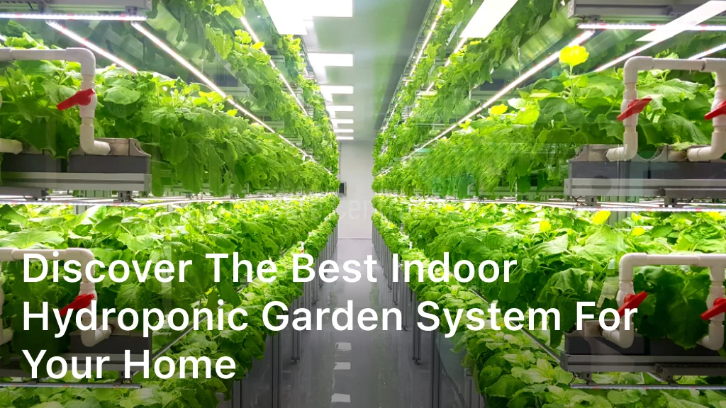Best Indoor Hydroponic Garden System for Your Home