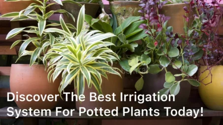 Discover the Best Irrigation System for Potted Plants Today!