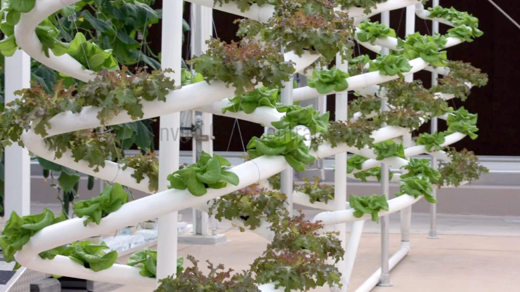 Revolutionizing Growth with Indoor Vegetable Garden System