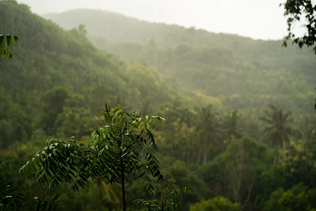 Climate Change Affect Biodiversity